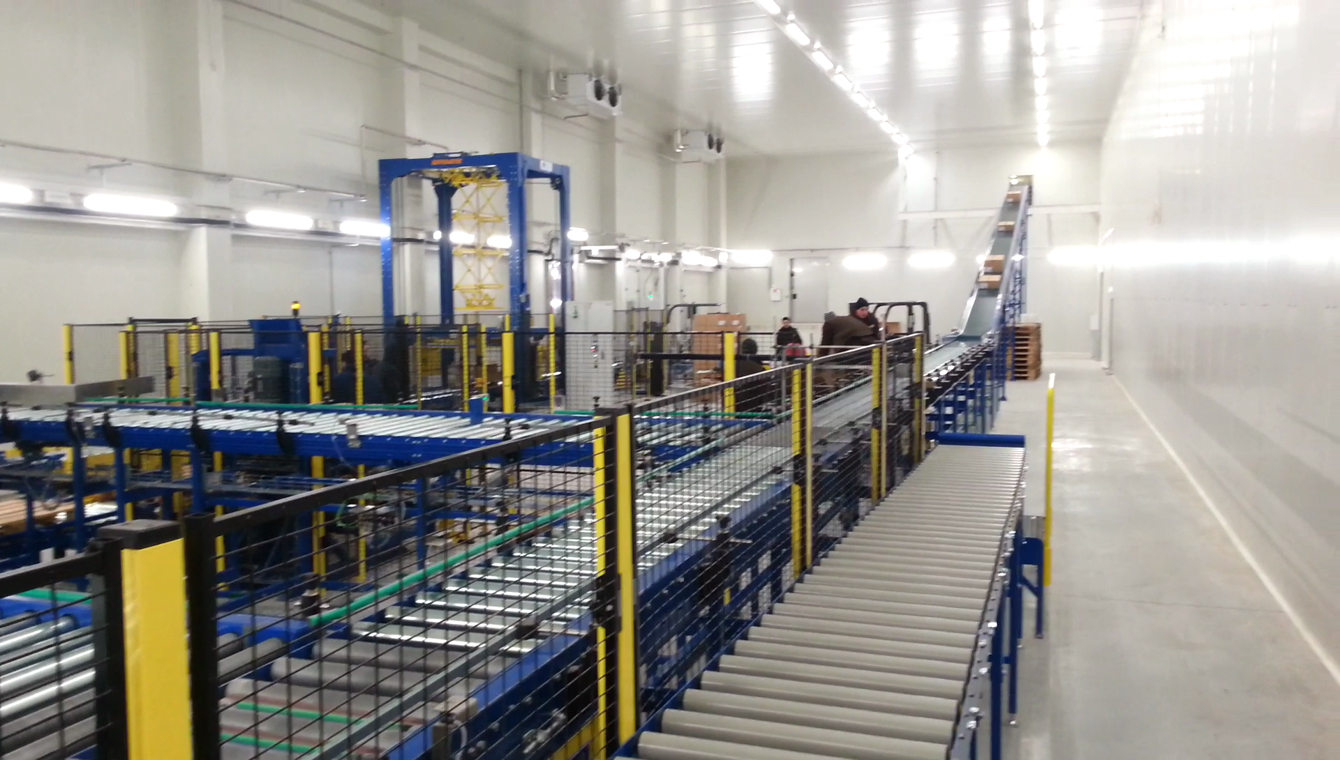 wikpol_linia_paletyzacji_kartonow_z_pieczywem__mrozonym_6_