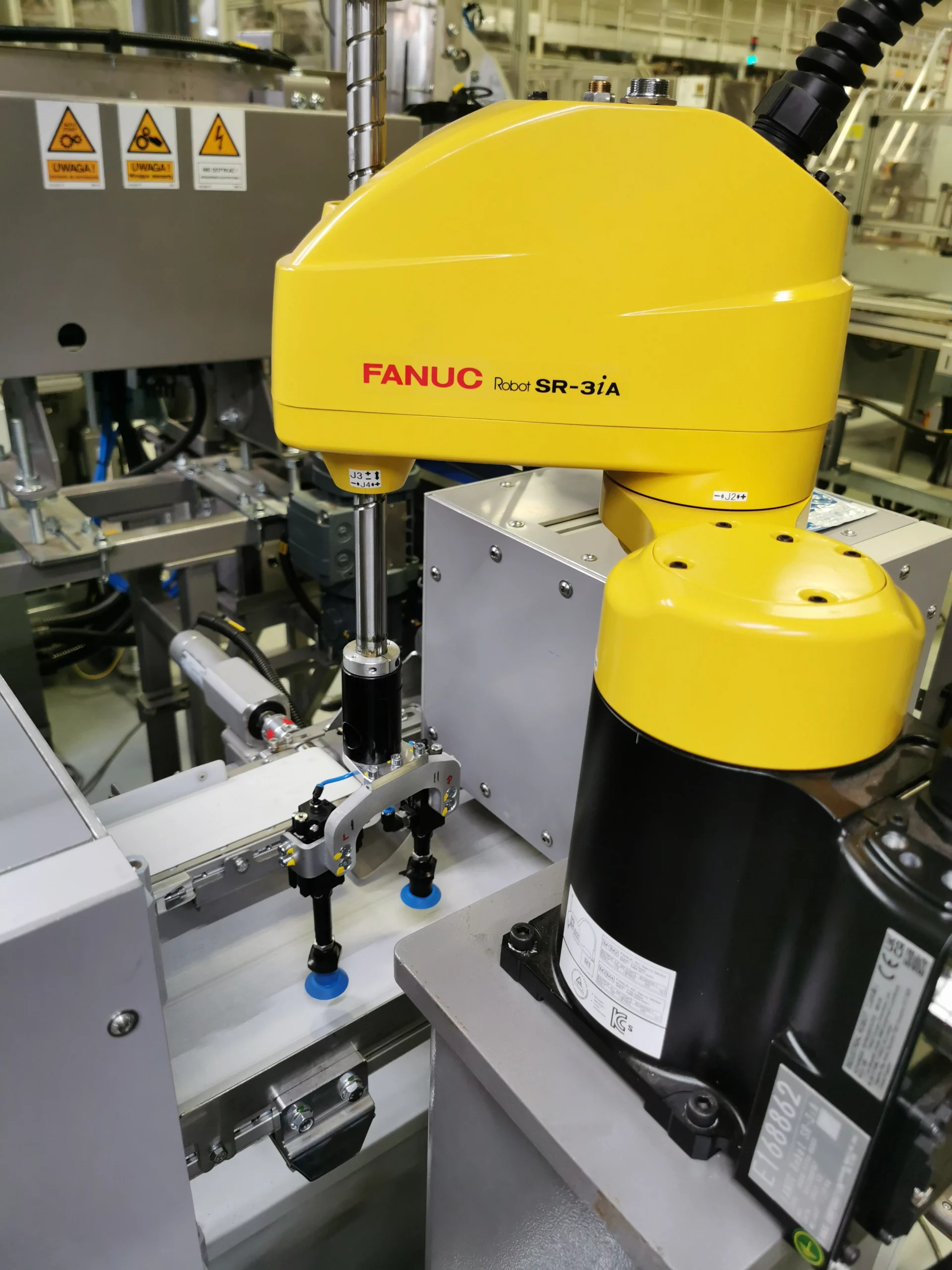 Robot SCARA FANUC SR-3iA pozycjonujący saszetki z herbatą w układzie rewers/awers.
